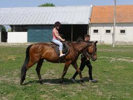 konik.jpg